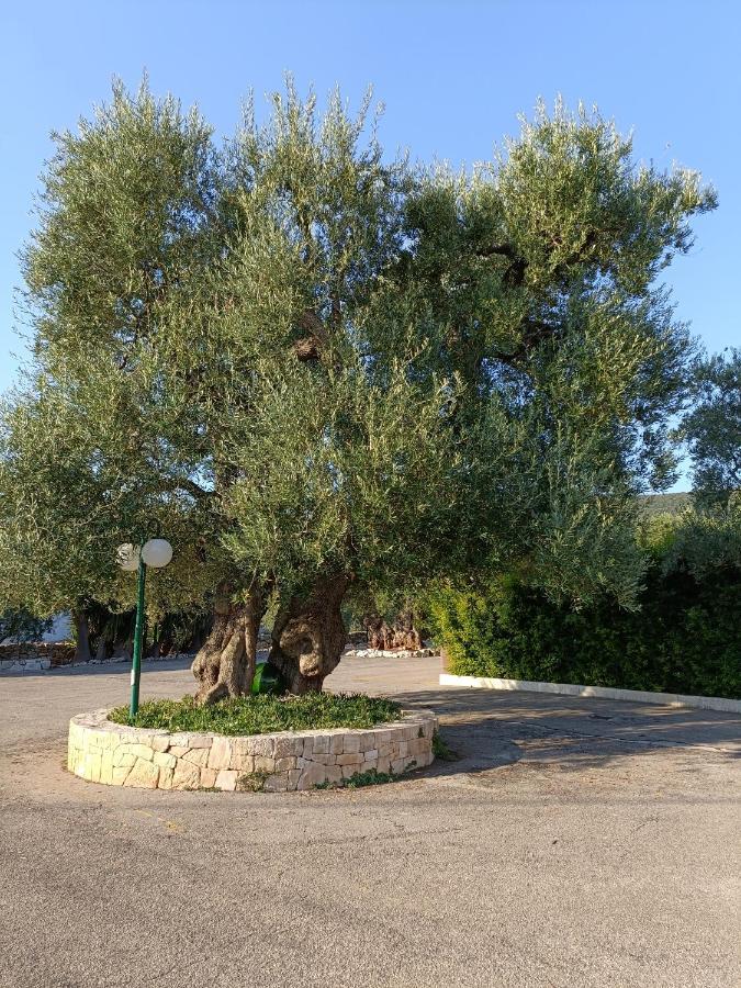 Masseria Galleppa By Apulia Hospitality Macchia di Monte Εξωτερικό φωτογραφία
